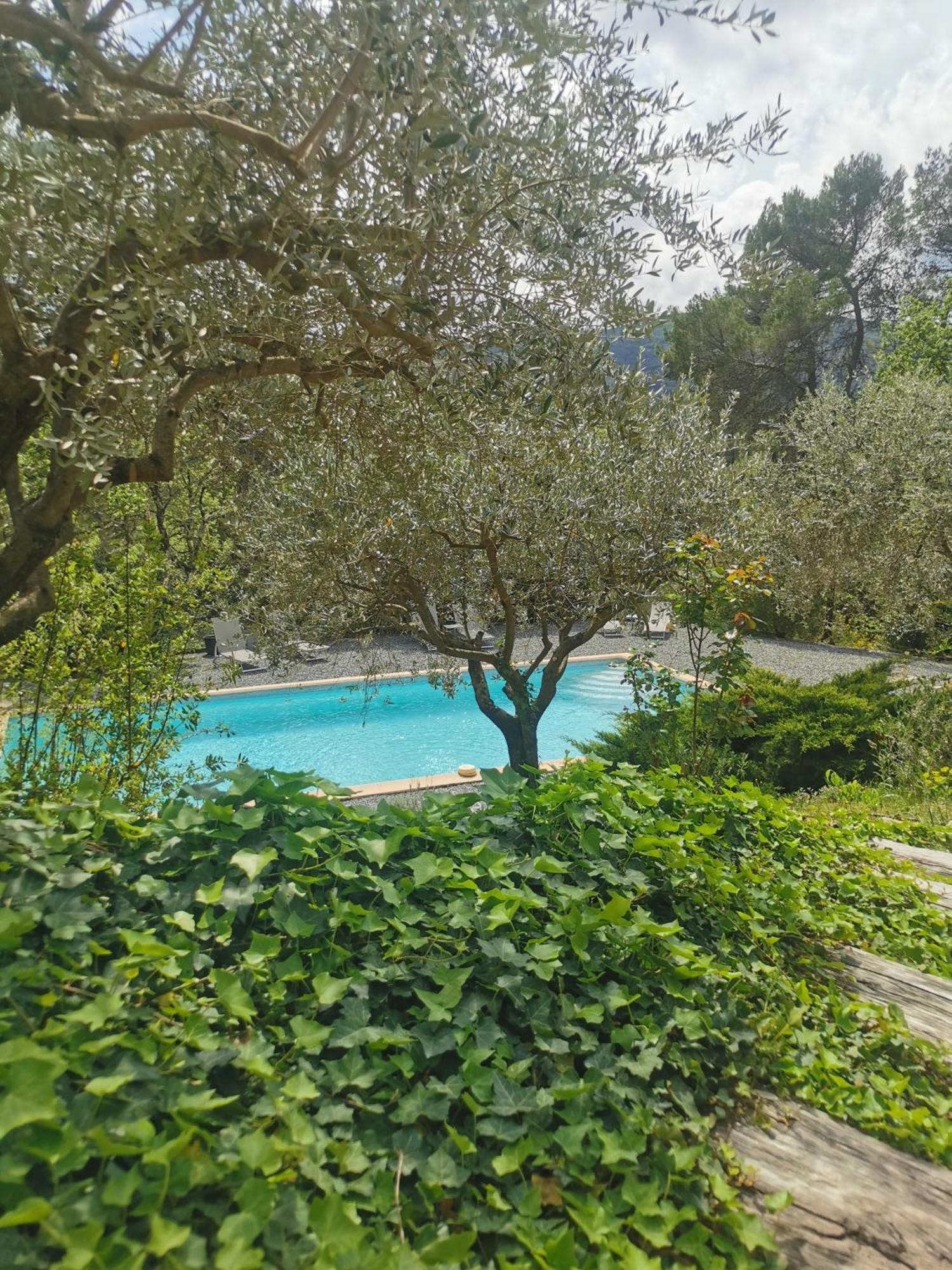 Bed and Breakfast Bastide Saint Bernard Le Thoronet Exterior foto